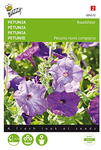 Buzzy Seeds 004572 Petunie Alderman Blau (Petuniensamen)
