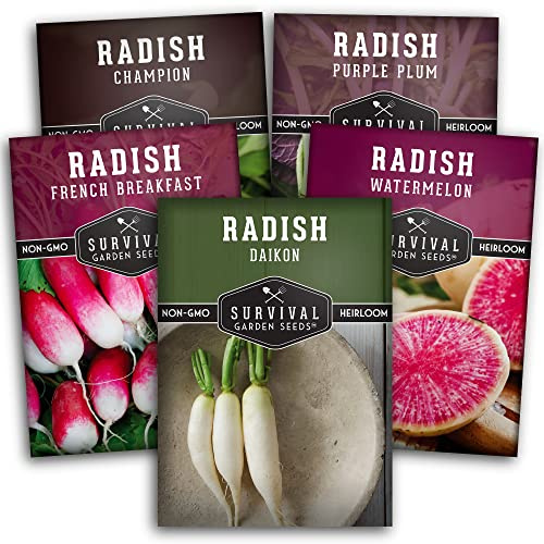 Radish Seeds Variety Pack – 5 Packets | Heirloom Non-GMO Radishes for Planting: Daikon, Watermelon, Purple Plum, French Breakfast & Champion – Survival Garden Seeds