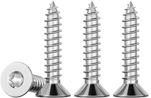 Drenky 100 Stück Edelstahlschrauben Holz M5 Torx Schrauben 20mm Holzschrauben Edelstahl Flachkopf Terrassenschrauben Aus Rostfrei A2 V2A Madenschrauben Holzbearbeitungsbefestigung TX25