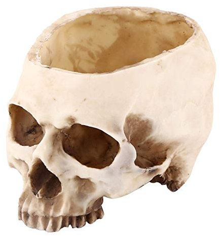 Skull Plant Pot, Cache Pot Tête de Mort, Vase Tête de Mort, Décoration de Bol de Bonbons d'halloween, Résine Vase tête de Skull Decor pour Bar, Décoration de Boîte de Nuit- 16,5 x 11,5 x 11 cm