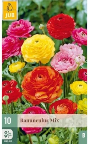 10 bulbes mix renoncules