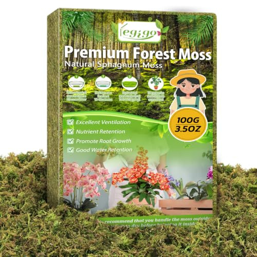 Legigo 100g Green Fake Moss, Alternative to Artificial Moss for Plant Pots