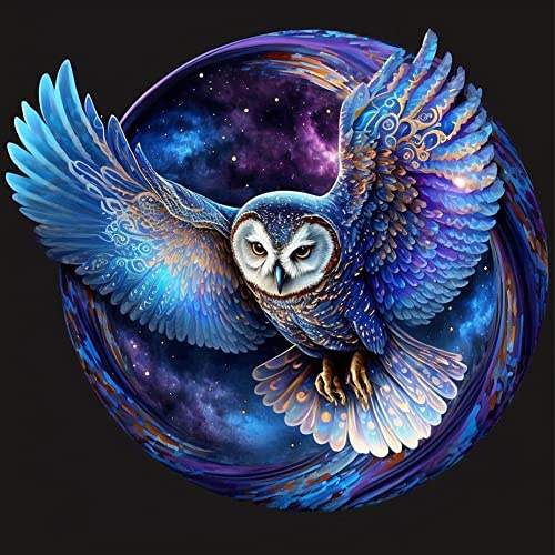 Demiawaking 5D DIY Vollbohrer Diamond Painting Bilder Set, Diamant Painting Full Drill Bunt Tiere Kit Kreuzstich Stickerei, Deko Geschenk Diamantmalerei 30x30cm (Eule B)