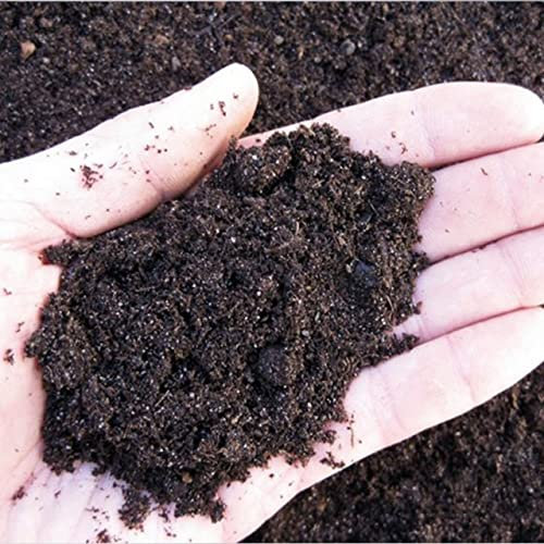 Italy Green Life - Sustrato para plantas grasas y suculentas Bio de 10/20/30 litros – Sustrato biológico de 10/20/30 litros (10 litros).