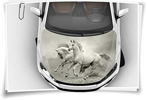 Medianlux Pferde Pferd Reiten Motorhaube Auto-Aufkleber Steinschlag-Schutz-Folie Airbrush Tuning Car-Wrapping Luftkanalfolie Digitaldruck Folierung