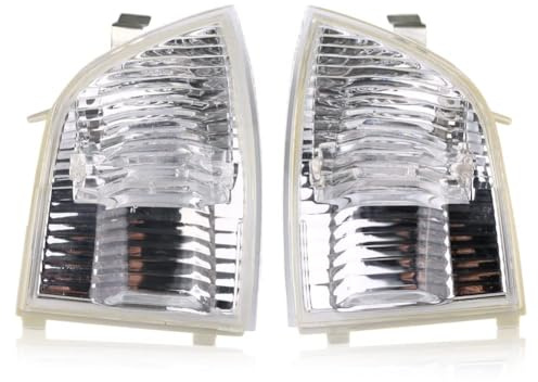 TXBZQKJ Spiegelblinker, für Ford Focus C-MAX 2003 2004 2005 2006 2007 2008 2009 2010 2011 2012 2013 Spiegel Blinker Seitenblinker Blinkleuchte,Left Side