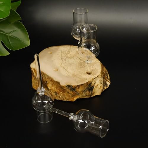 GTK Geweihe & Trophäen Krumholz 27.60.1.67 Lot de 4 verres à liqueur avec pied sur racine