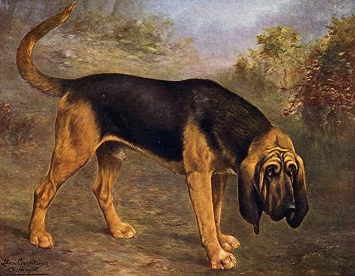 EQVRDCUW Klassische Malerei Wandkunst Leinwanddrucke Leinwand K unstwerk the Bloodhound Hengist Von Lilian Cheviot Ölgemälde Kunstdruck für Bürodekoration 60x90cm