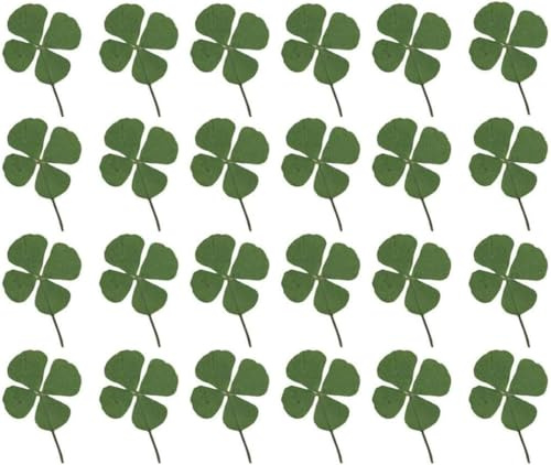 KUMSODE 24 stycken torkade blommor, naturliga, pressade, klöver, fyrklöver, för hantverk, smyckestillverkning, syntetisk harts