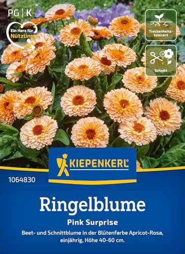 Kiepenkerl Ringelblumensamen Pink Surprise 1064830 - Apricot- rosafarbene, essbare Blüten - circa 40-60cm hoch - Wildblumensamen, Blumenwiese, Saatgut