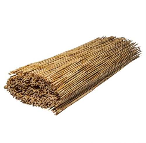 Werkapro Canisse en Roseau Naturel 1,5 x 5m
