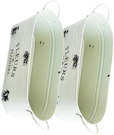 BESPORTBLE 2piezas Maceta Vintage De Hierro Decorativa y Funcional para Jardín Patio o Interiores Macetero Ovalado Doble Asa para Plantas y Flores