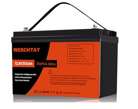 LiFePO4 12V 300Ah Batterie,Deep Cycle Batterien,3840Wh Lithium Akku mit 5000-18000Tiefzyklus,Intelligentem BMS und Abschaltschutz bei Niedrigen Temperaturen für Camping,Solarpanel Kit,Wohnmobil