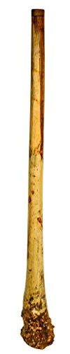 Handmade Didgeridoo Root Eucalyptus 59 length, Big bell end, tiny repair on the surface, no any affect to the sound, discounted price