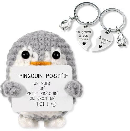 Cadeau Homme Original. Píngouín Positif en Français | Inclut 2 Porte-clés Originaux | Cadeau Femme | Idée Drôle Fete | Anniversaires Homme Femme Couple Ado | Objet Collegue Bureau