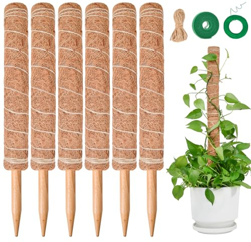 Tuteur Monstera pour Plantes, SproutMaven Tuteur Plante Grimpante 6 Pièces Bâton de Coco de 41cm, Poteau Totémique pour Plantes de Jardin et Pots