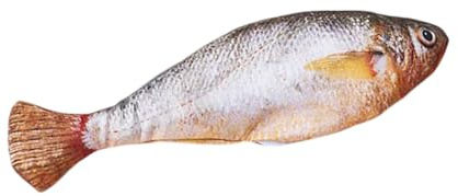 dzqad Flopping Fish Katzen Spielzeug - Automatisch Bewegender Fisch 150mAh | Interaktives Automatisches Elektrisches Realistisches Jagd Enrichment Spiel | Für Innen Außen Aktivität Förderung