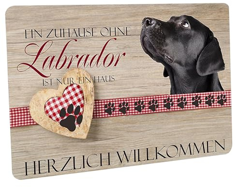Crealuxe Fussmatte - EIN Zuhause ohne Labrador ist nur EIN Haus - 60x40 cm - Gummi Rückseite/rutschfest - Filzoberfläche - Bedruckte Türmatte - Innenmatte - Schmutzmatte