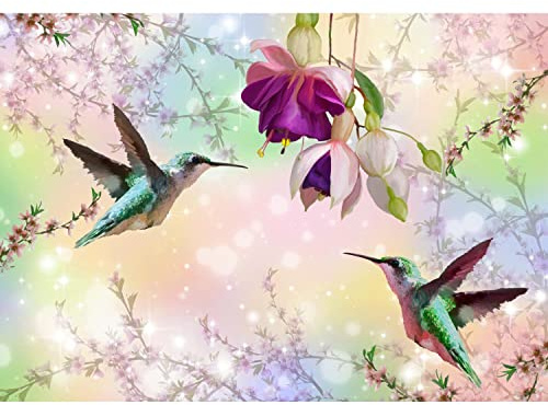 Runa Art Papier peint intissé 396 x 280 cm Fleurs Oiseaux Colibri | Toison Décoration Murale Salon Chambre á Coucherr | Fabrication Allemande | Coloré 9402012a