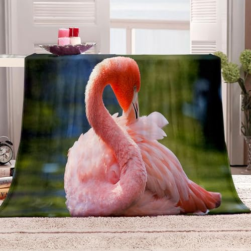 KQYLBM Cobija 130 X 150 Cm Manta De Pelo Suave Flamenco Cobijas De Invierno Mantas De Lana
