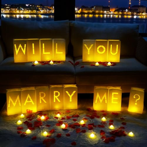 Homemory Will You Marry Me Light Up Letters Proposal Decorations with Flameless Candles and Fake Rose Petals, Valentine's Day Luminary Bags Decorations for Wedding Engagement