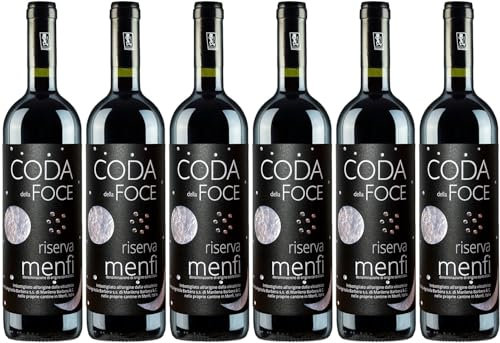 Cantine Barbera Coda della Foce Riserva Menfi DOC 2016 Trocken Bio (6 x 0.75 l)