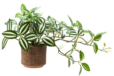 EZBOHO 8.5 Artificial Trailing Peperomia Vine in Textured Light Coffee Ceramic Pot 12 Wide Lifelike Faux Round-Leaf Plant for Indoor Home Office Desk Shelf Bathroom Decor