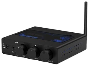 Ricevitore Bluetooth Amplificatore digitale Amplificatore HiFi Classe D Amplificatore stereo Per l'home cinema