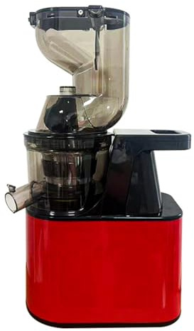 Juicer à la presse à froid, Juicer à mastic 300 W avec chute d'alimentation en maille filtrante en acier inoxydable et extracteur de jus d'auto-alimentation de capacité de 300 ml, facile à nettoyer