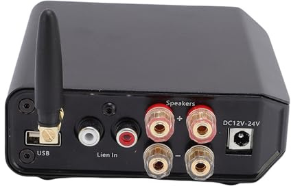 Dilwe Amplificatore Stereo 50w 50w con Controllo dei Bassi Acuti, Costruito per Durare, Offre una Chiara qualità del Suono con Alta fedeltà e Vero Effetto Sonoro, Realizzato con Materiale in Lega di
