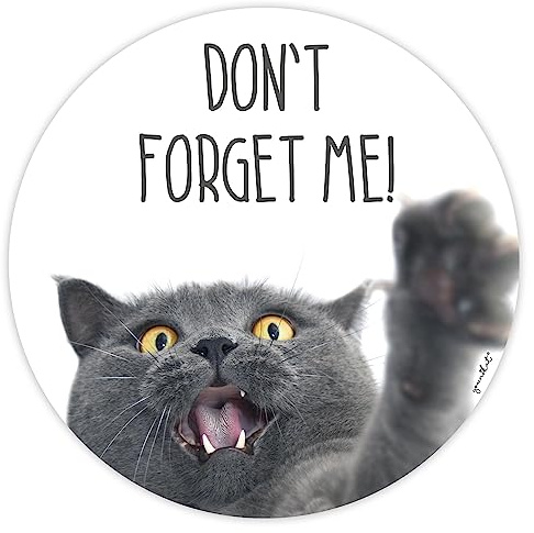 younikat Mauspad mit Katzen Motiv - Mousepad mit Spruch Ø22 cm rund - dv467 | Katzen-Motiv mit Spruch, rund, rutschfeste Zellkautschuk-Unterseite, ideal für Büro und Homeoffice