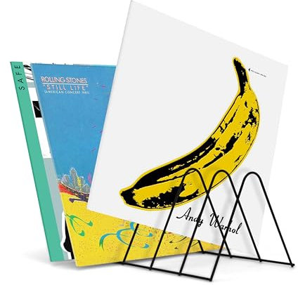 draadwerk Schallplattenständer Schwarz | Aufbewahrung für 50 LPs | LP Ständer | Prospekthalter | Bücher Aufbewahrung | Zeitungsständer | Schallplatten Deko | Schwarz