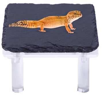 Sköldpaddor solsten, grotta för reptiler med akrylhållare | Terrarium dekoration för Gecko sköldpadda ödla orm
