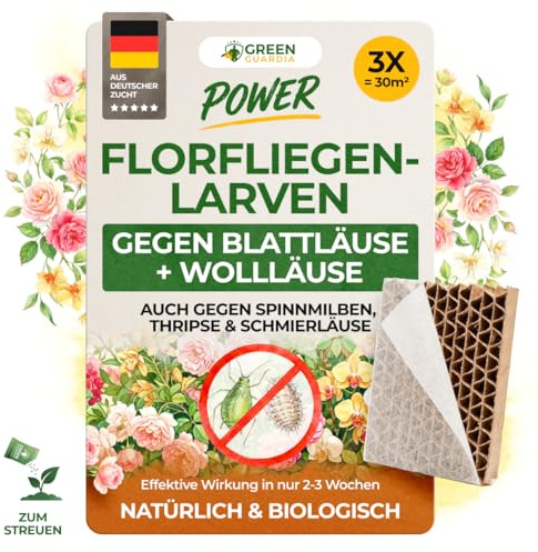 GREEN GUARDIA Larvas de crisopa, insectos beneficiosos contra pulgones y cochinillas, 3 panales para hasta 30 m², para habitaciones, hortalizas y plantas ornamentales