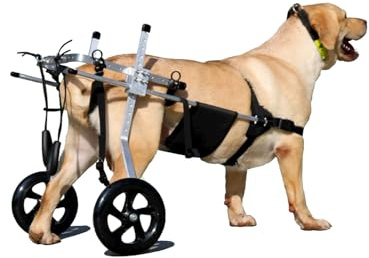 Yinian 2 Ruote Sedia a Rotelle per Cane Carrello per Disabili Scooter per Animali Domestici Carrello per Cani Disabili con Ruote per Riabilitazione di Gambe di Animali Disabili(Size:XL（20-30kg）)