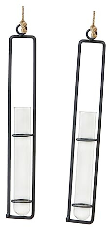 ibasenice 2 pezzi Vasi Fioriera Vetro con Struttura Appesi Creativi per Piante Decorazione Trasparente e Resistente per e