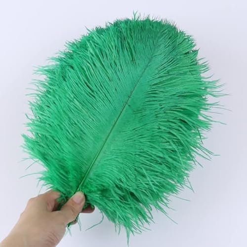 10 STÜCKE Mehrfarbige Straußenfedern Mehrere Spezifikationen Flauschige natürliche Federn für Bastelzubehör Hochzeitsfeierdekoration-Grasgrün 025,15-20 cm 6-8 Zoll