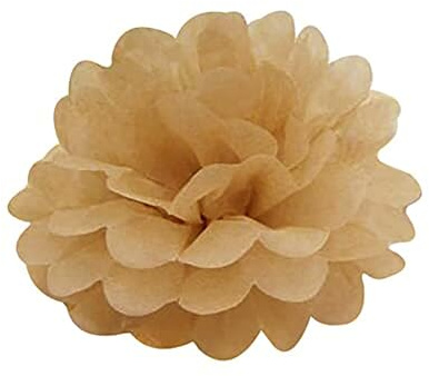 Duories 24 Stück Seidenpapier Pompons 25cm Hochzeitsdeko Basteln Pompoms Dekorpapier Blumenpuscheln Papier Pompons Papierblumen für Geburtstag Hochzeit Party Wohnzimmer Raumdeko,Khaki