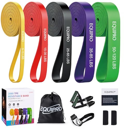 Equipro Resistance Bands, Exercise Bands, Resistance Bands for Working Out with Handles and Door Anchor, Workout Bands for Men Women with Protective Sleeve for Fitness Weights Work Out at Home