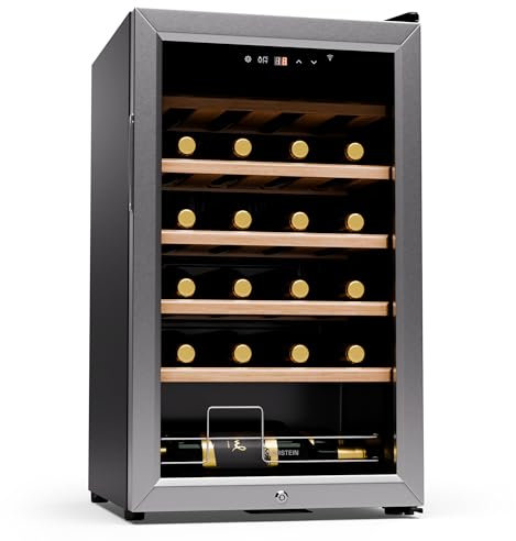 KLARSTEIN Vinoteca para Vinos, Nevera Vino Zona Doble, Botellas Vino, Proseco y Cervezas 5-18°C, Vinoteca Pequeña Puerta Cristal para Interior y Exterior, Nevera para Vinos Capacidad 24 Botellas