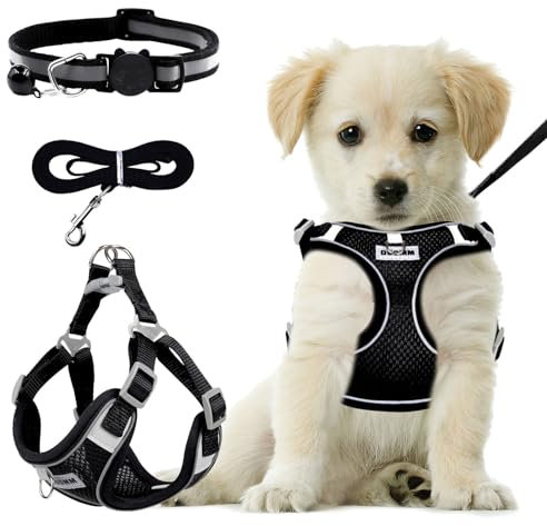 RAFIYU Dog Harness Medium Breathable Vest, Step-in Cat Puppy Harness and Lead Sets, Adjustable Reflective Anti Pull Dog Harness with Collars for Extra-Small/Small Medium Dogs Training or Walking (S)