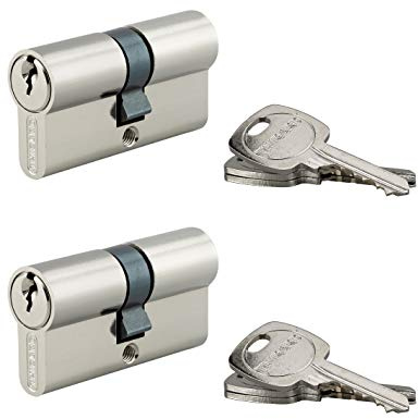 THIRARD - Cylindre de Serrure Double Entrée STD - Laiton Nickelé - Anti-Arrachement - Mécanisme à 5 Goupilles - 6 Clés Crantées Acier Nickelé - Lot de 2-30 x 30 mm - Gris