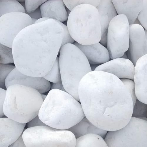 Vegara Stone Piedra Jardín Decoración Canto Rodado Blanco Puro (1, 1,5-2,5 cm)