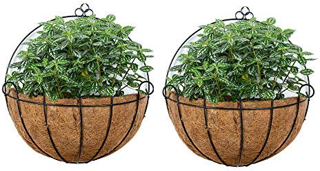 2 Stück Zaun Hängende Pflanzgefäße Metall Wand Pflanzgefäß Hängende Pflanze Korb Metall Hängende Pflanzgefäße mit Kokosnuss-Liner für Pflanzgefäße, Draht Große Hängende Pflanzgefäße Außenpflanzen