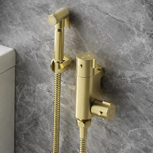 Bidet-Thermostatventil und Sprüh-WC, gebürstetes Messing, rundes Bidet-Dusche-Set