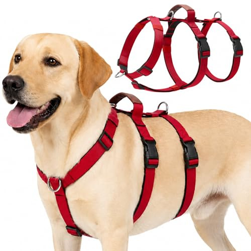 Olcyren Sicherheitsgeschirr Hund, Ausbruchsicheres Anti Zug Hundegeschirr, Panikgeschirr für Hunde, Verstellbare Brustgeschirr mit Gepolstertem Griff for Mittelgroße und Große Hunde (Rot, M)
