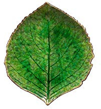 Snack-/Beilagenteller, Blatt-Form, Hydrangea Leaf, Riviera Tomato Green 17 cm, Costa Nova
