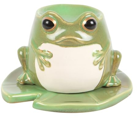 Quirky Frog-shaped Oil Burner Set