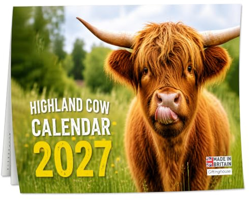 2027 Calendar, Highland Cow Wall Calendar UK, A3 Month-to-View (Jan 2027 – Dec 2027), Eco-Friendly, A3 Size When Open, Made in the UK