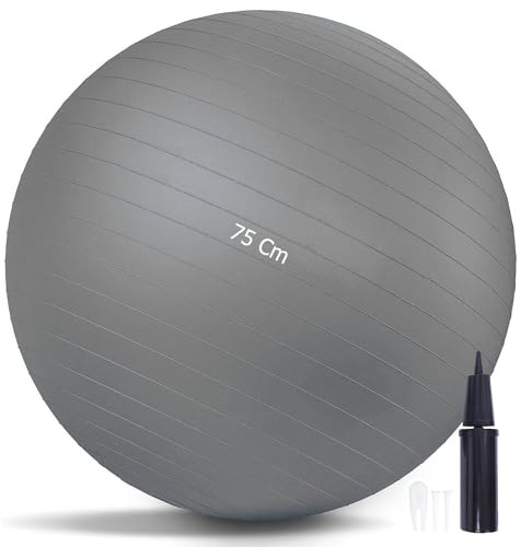 G5 HT SPORT Palla Fitness Gym Balls Premium Multifunzione Palla Pilates Anti-Scoppio [55/65/75/75 CM] Inclusa Pompa, Pilates, Esercizi, Ginnastica e Yoga (Ø 75 cm (Per Altezza Tra 179-188 Cm))